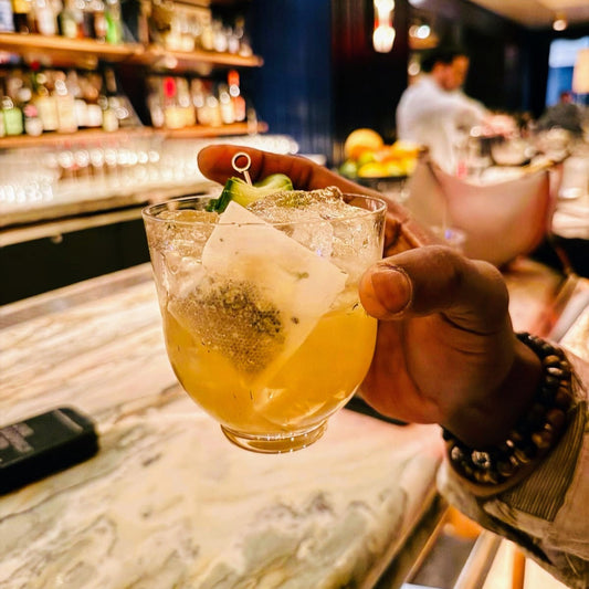 ALKAA Regular Sachets: "Wine Filter" For ANY Alcohol